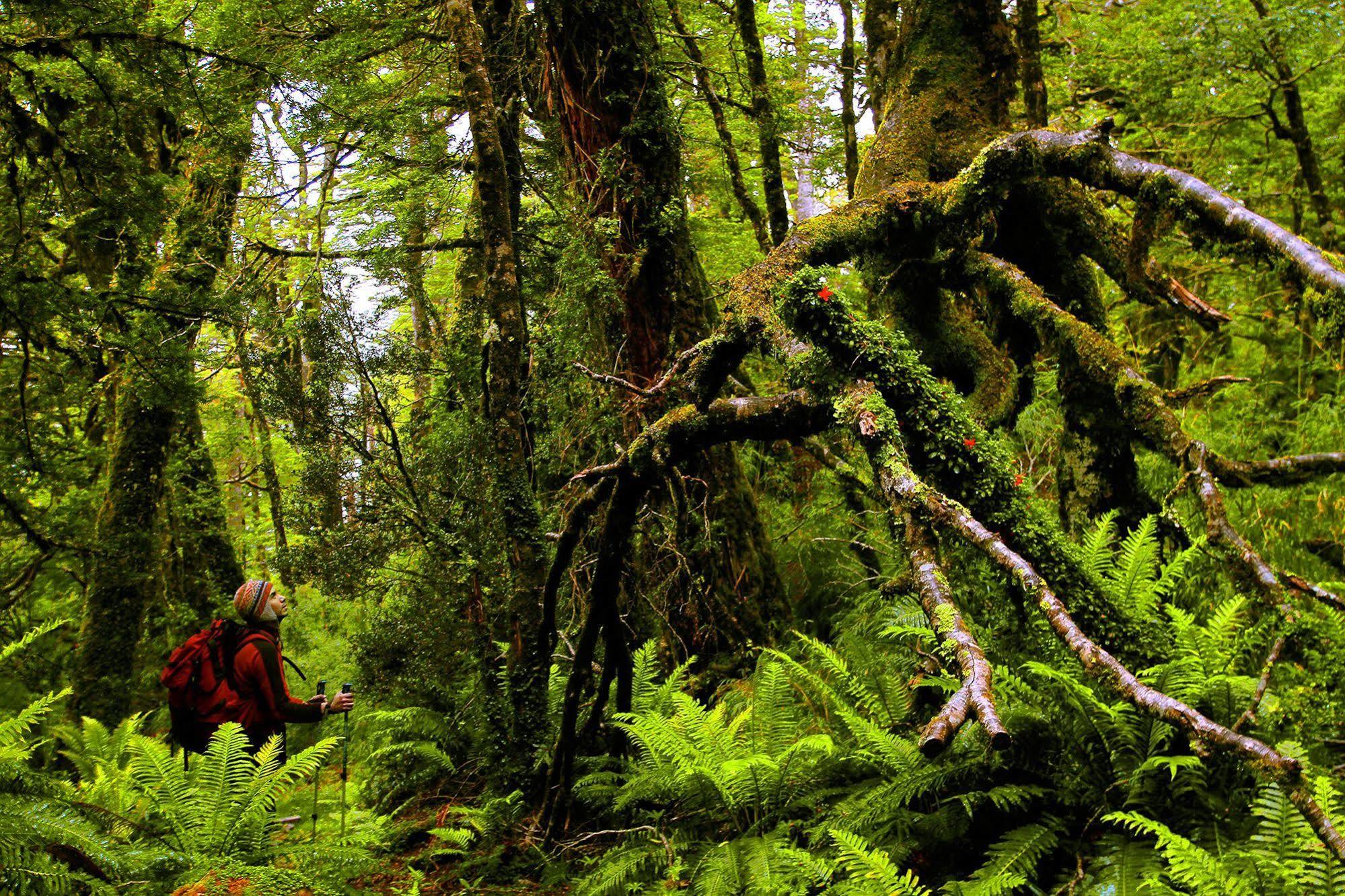 Puyuhuapi Lodge & Spa Eksteriør bilde